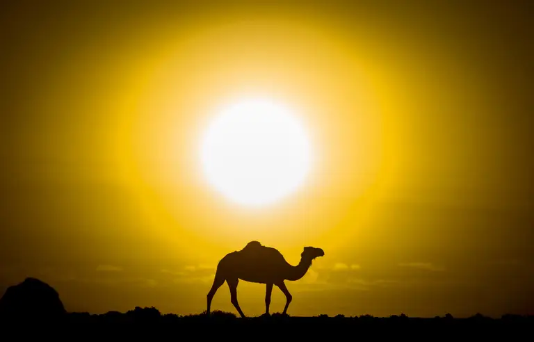 Direction générale de la météorologie, Météo Maroc, Fquih Ben Saleh, Beni Mellal, Khouribga, Khénifra, Settat et El Kelaa des Sraghna, vigilance rouge, vigilance orange, vague de chaleur