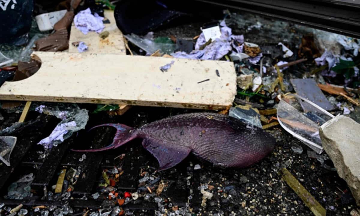 Un aquarium géant éclate dans un hôtel au coeur de Berlin