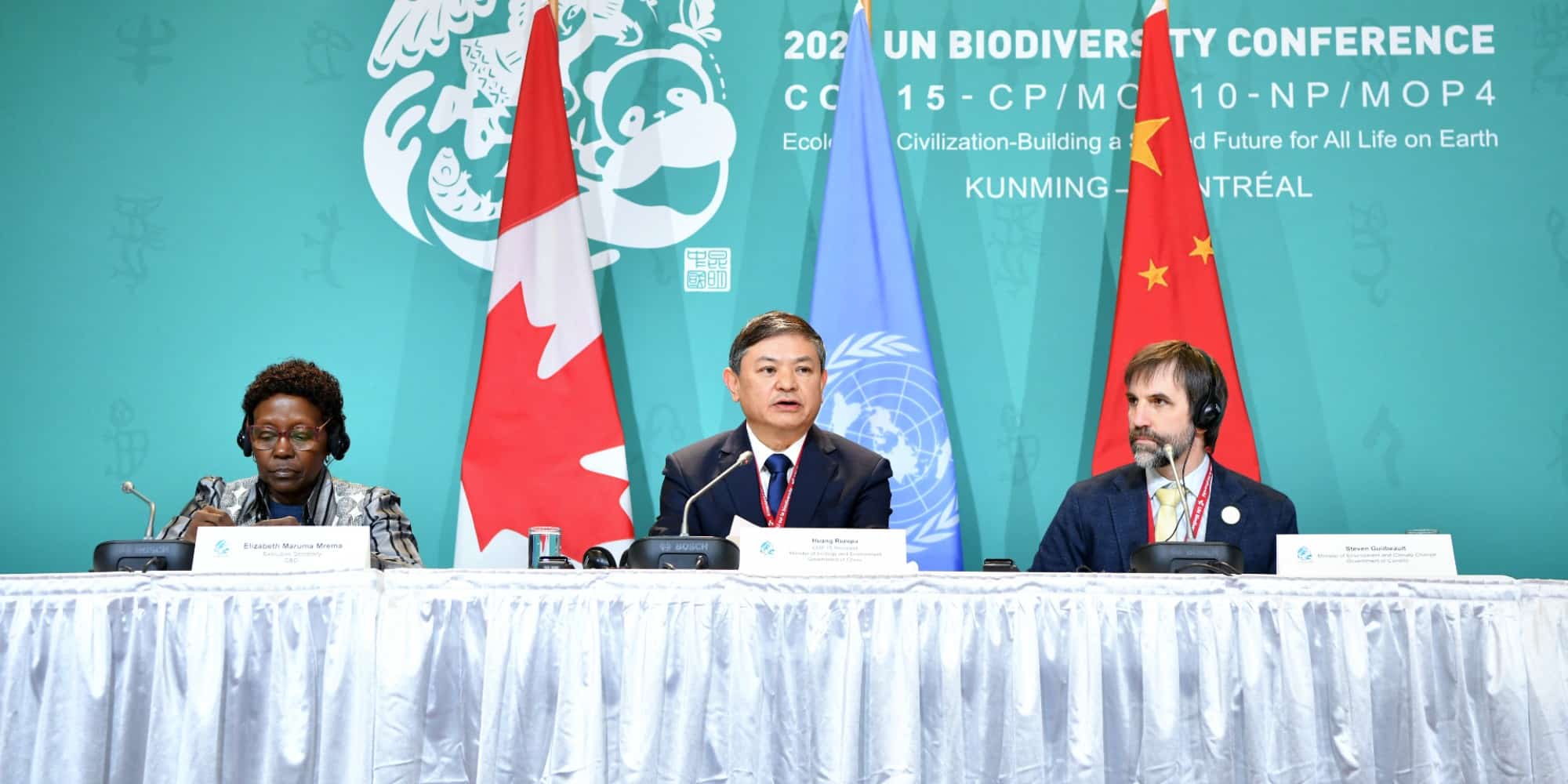 COP15: l'objectif de protéger 30% de la planète retenu dans le projet d'accord 