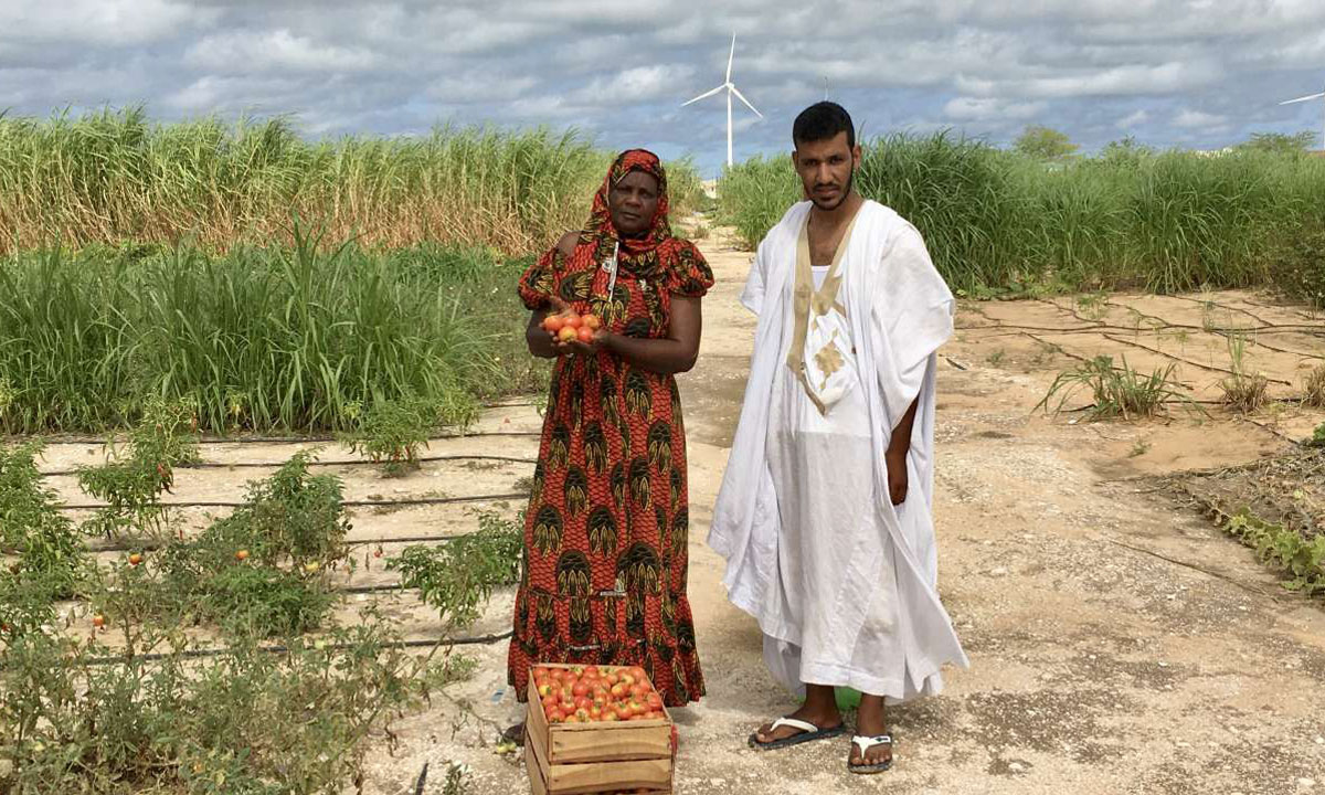 Le Maroc fait don de 5.000 tonnes d’engrais au profit des petits agriculteurs mauritaniens