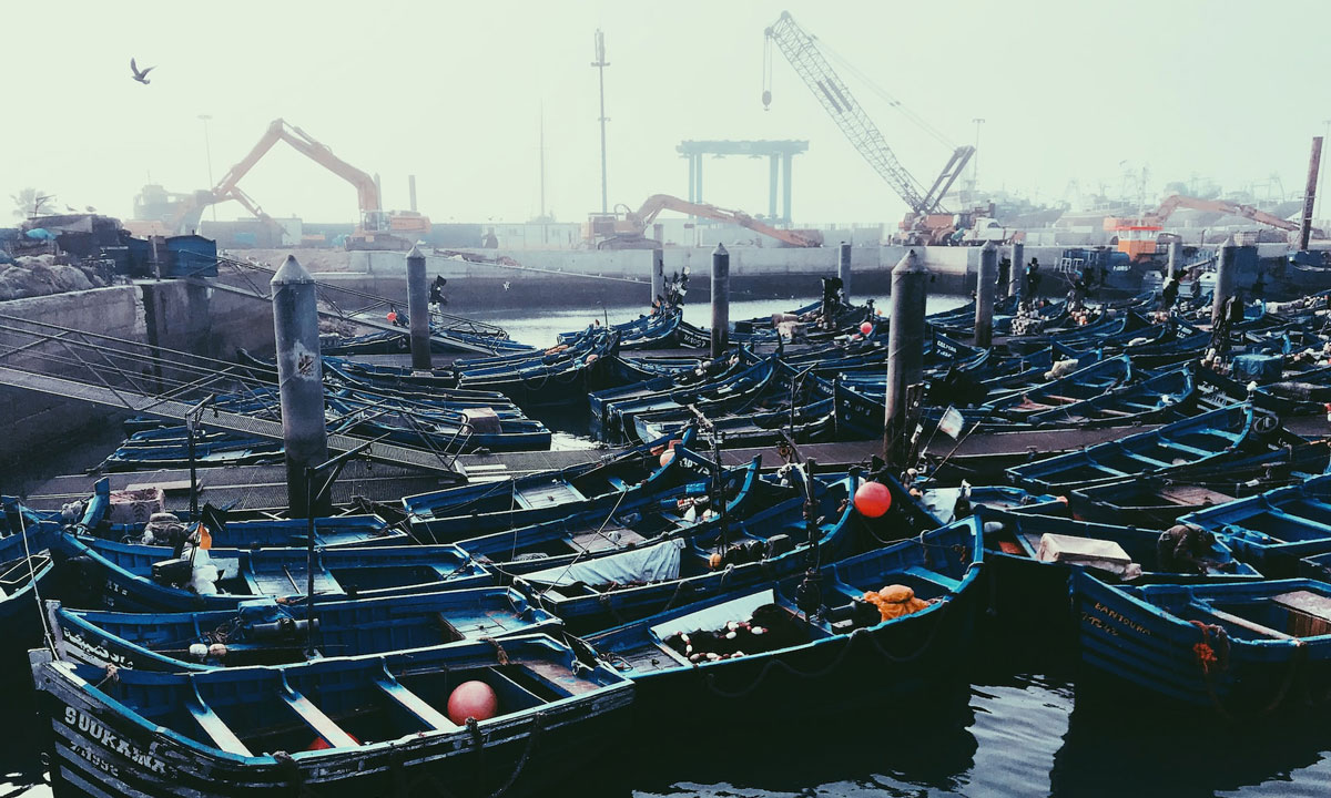 L'essentiel du rapport de l'ONP sur la pêche côtière et artisanale