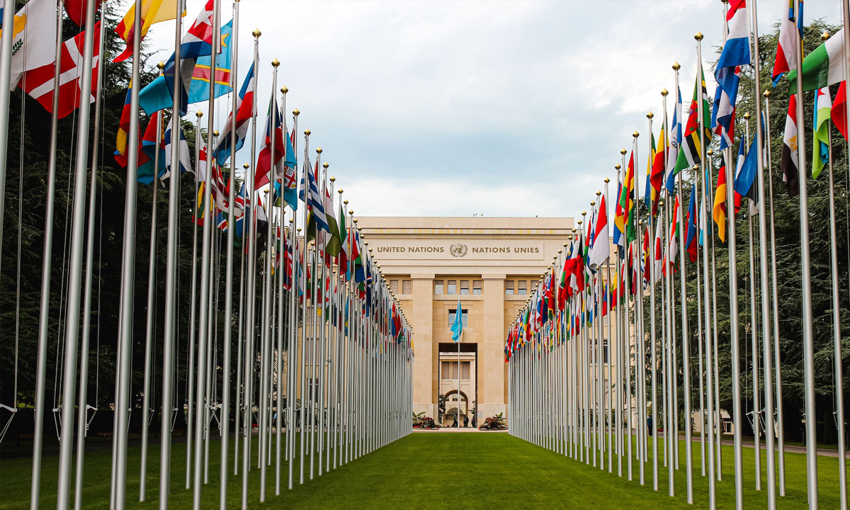 Enfin un accord à l'ONU pour protéger la haute mer
