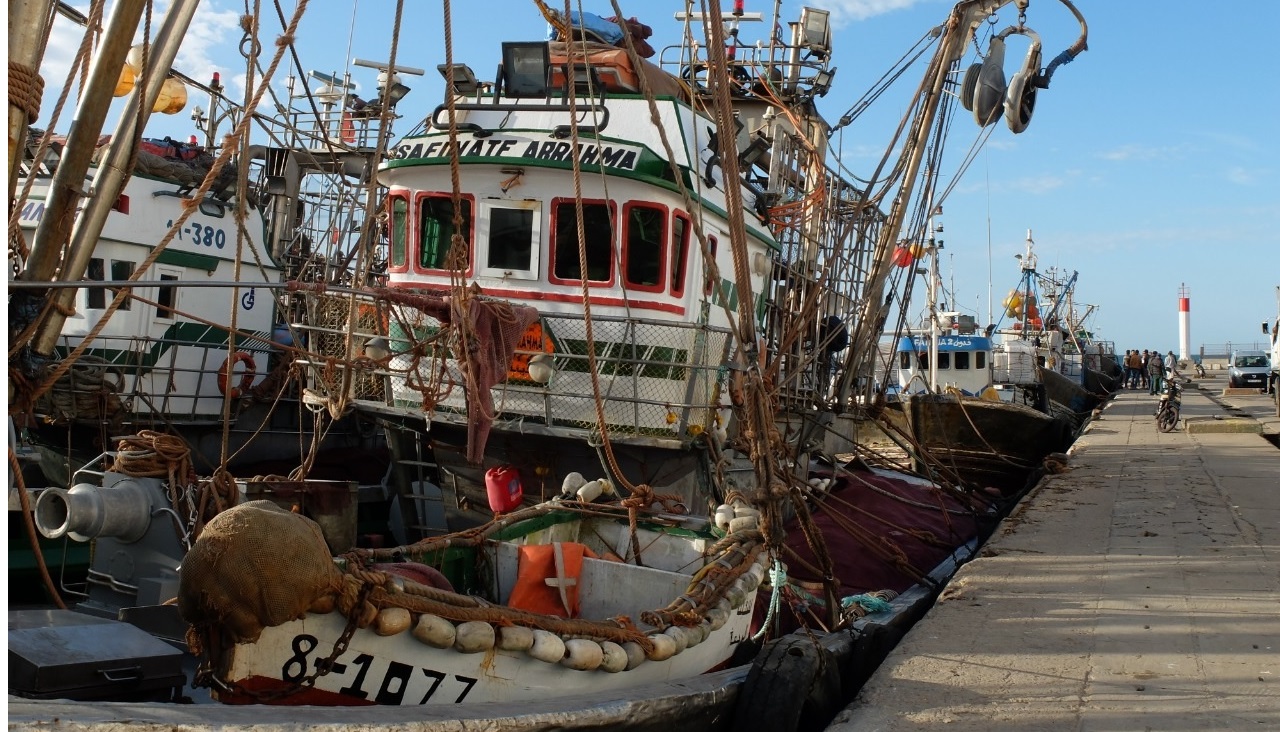 Les débarquements des produits de la pêche côtière et artisanale au niveau du port de Boujdour ont enregistré une hausse de 45%