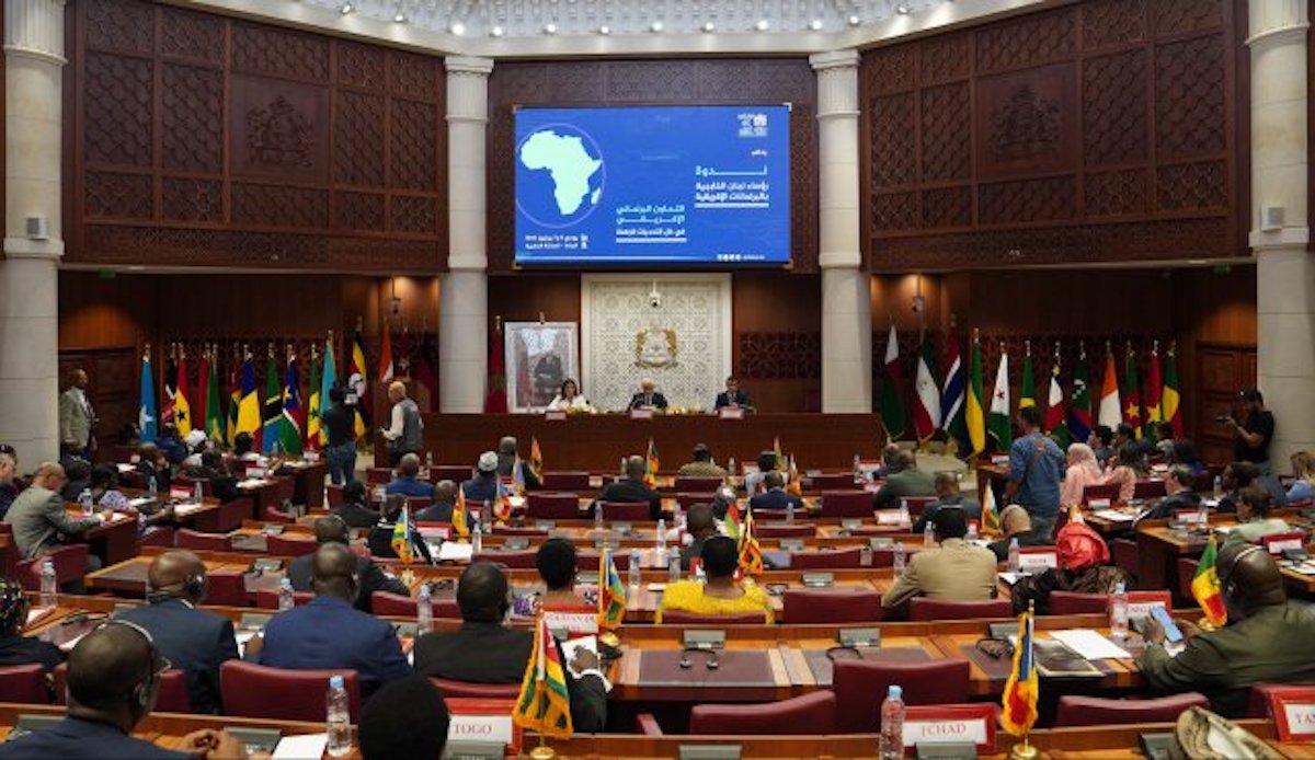 Diplomatie parlementaire Afrique
