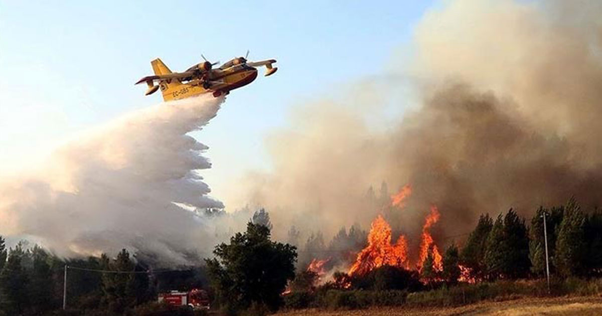 Incendies de forêts : 182 départs de feu affectant 1.251 hectares