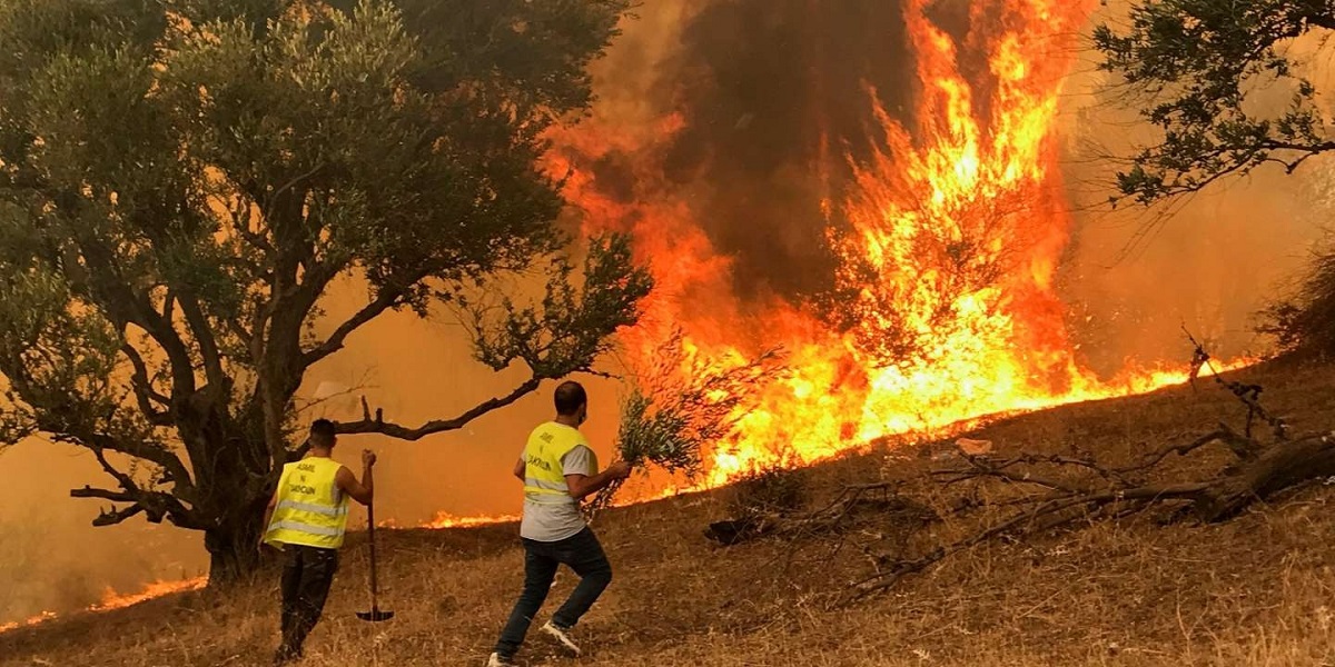 maroc grande peine regret feux foret algerie