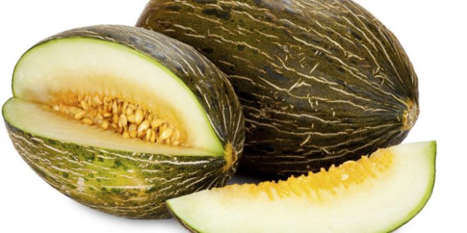 melon vert