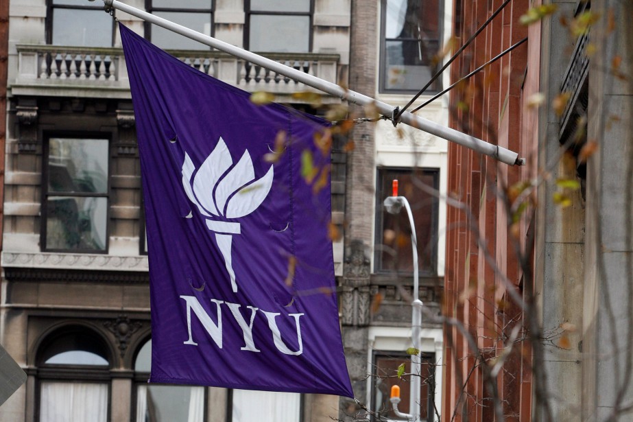 ny université