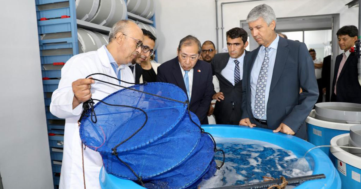 Tanger : Sadiki lance les travaux de construction de la première écloserie de poissons marins au Maroc