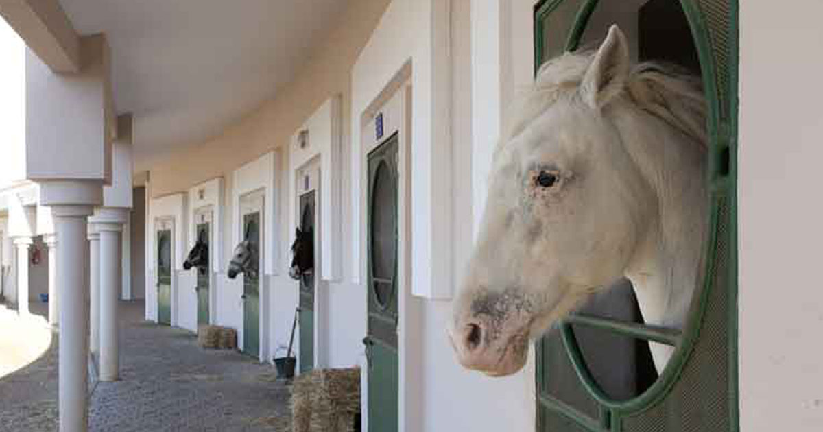 La SOREC ambitionne de valoriser du Haras National de Meknès