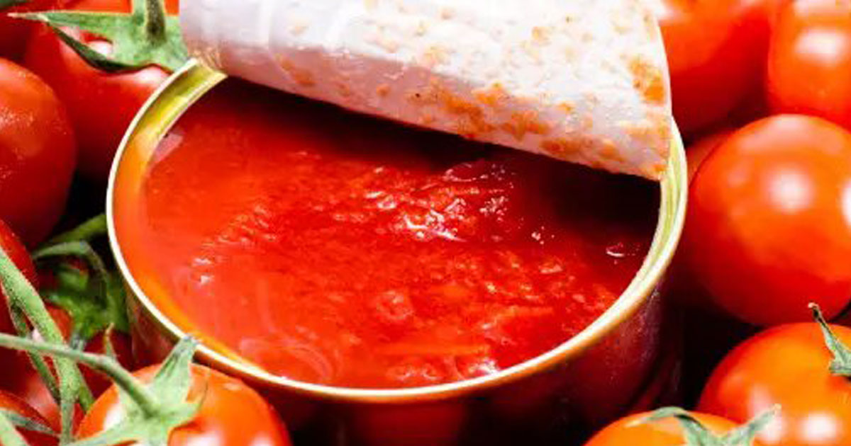 conserves de tomates une enquete antidumping vise les importations en provenance d egypte