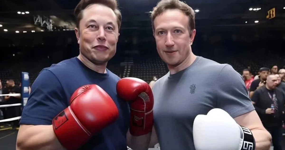 L'éventuel combat entre Musk et Zuckerberg sera retransmis sur X (ex-Twitter)