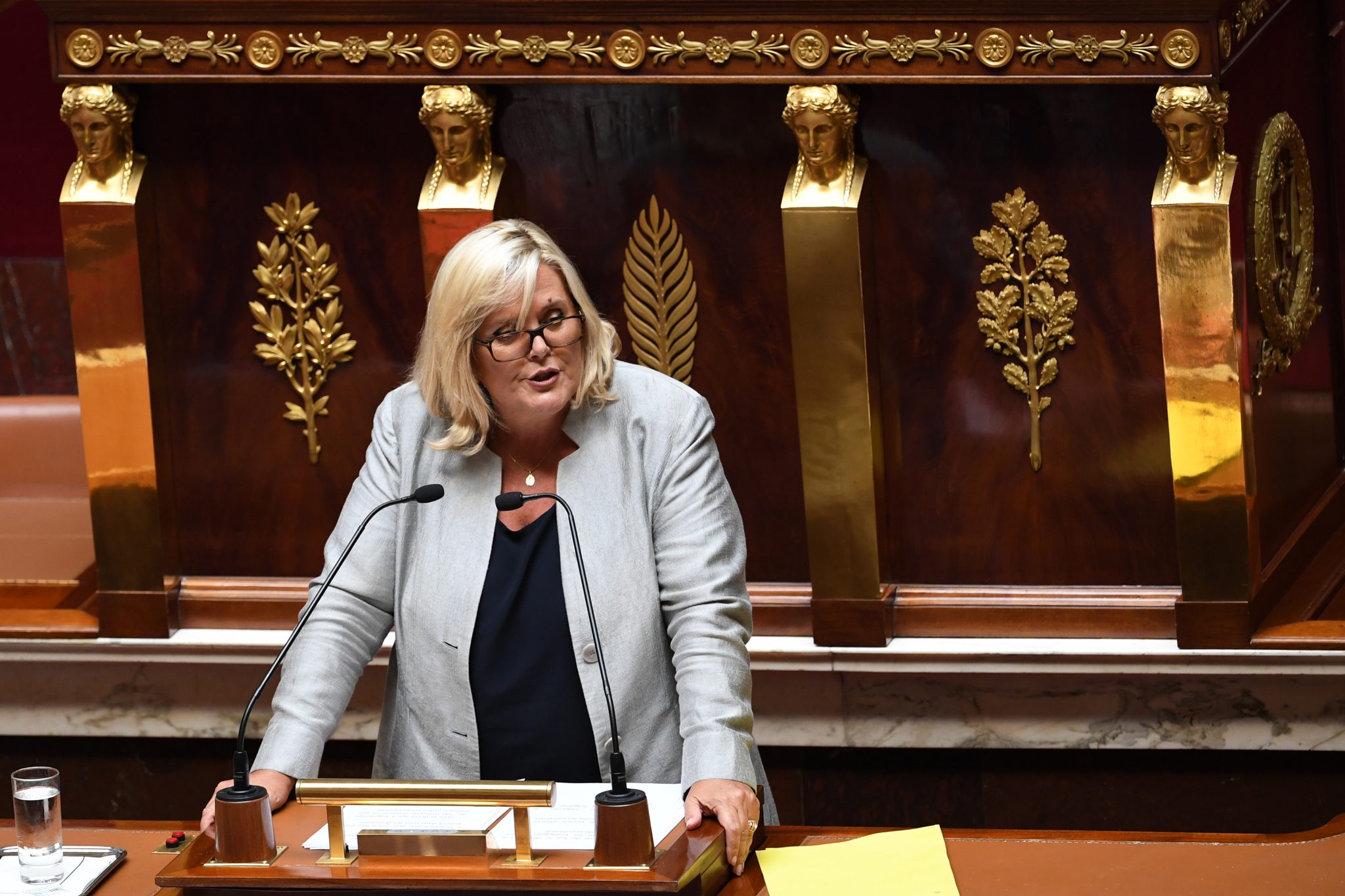 france parliament government debate