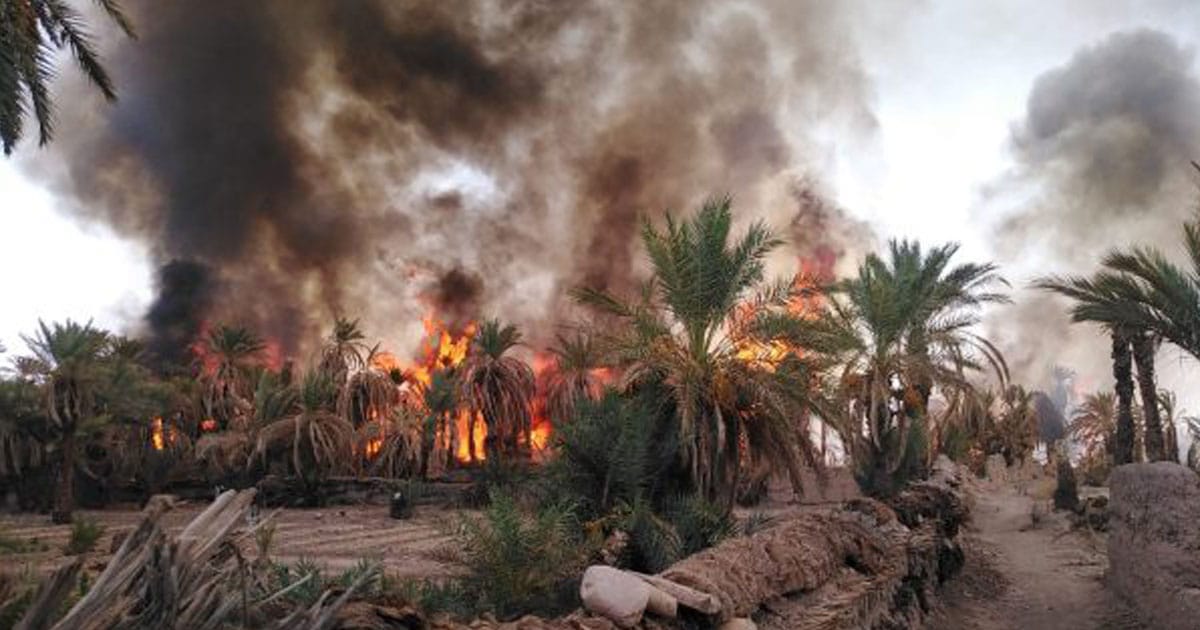 Vidéos. Tata: les feux des oasis reprennent, les dégâts sont énormes