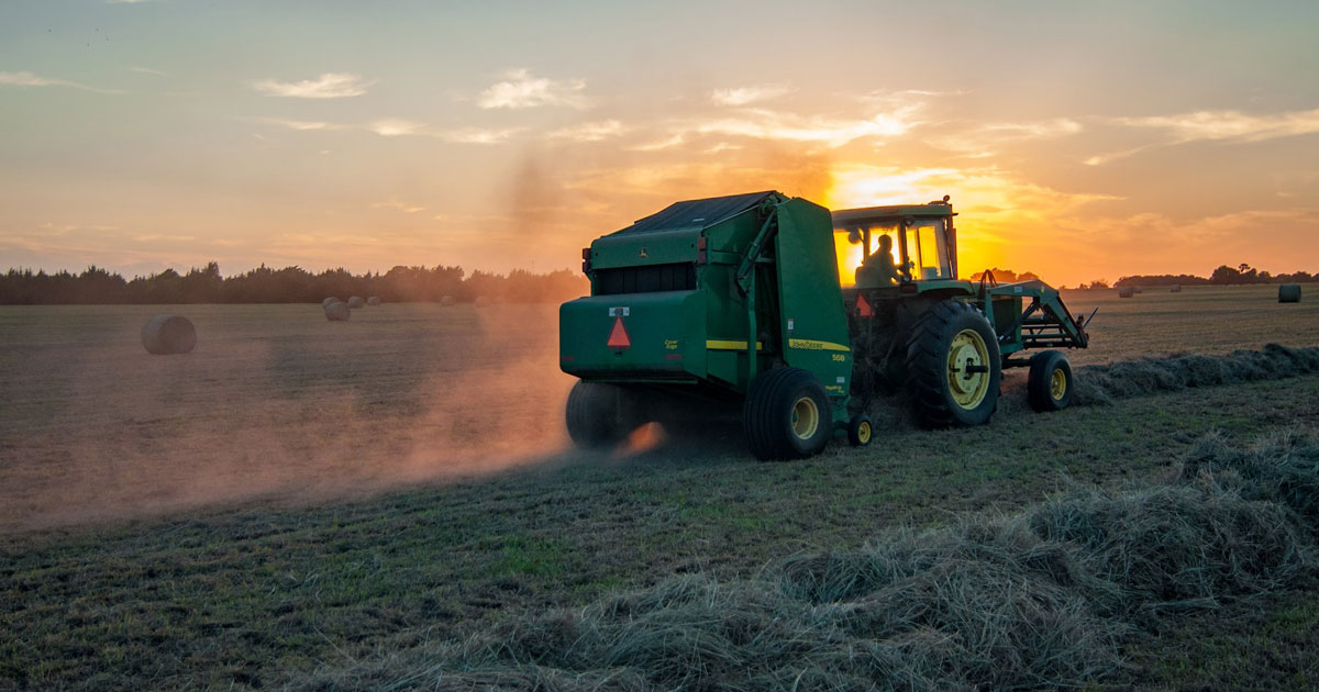 Agriculture: la campagne 2023/2024 s'annonce prometteuse