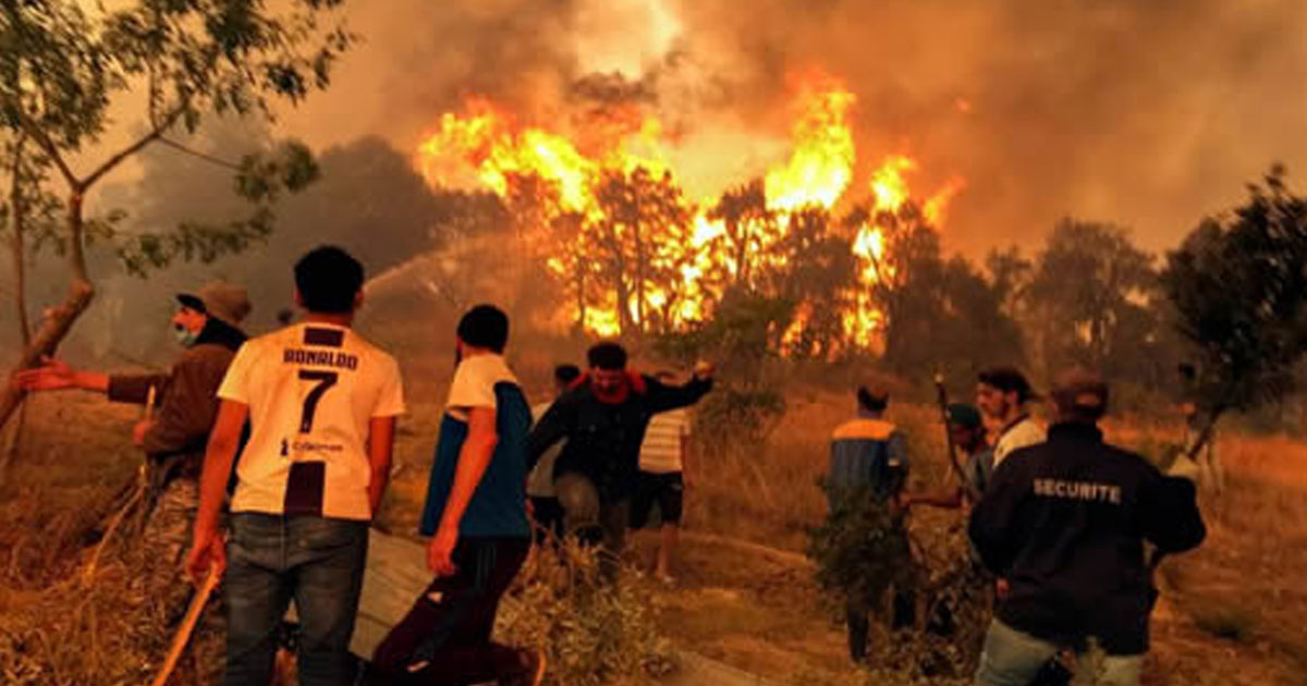 Le nord de l'Algérie en proie aux incendies dévastateurs