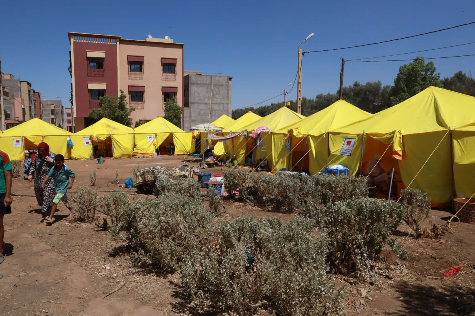tentes fondation mohammed v