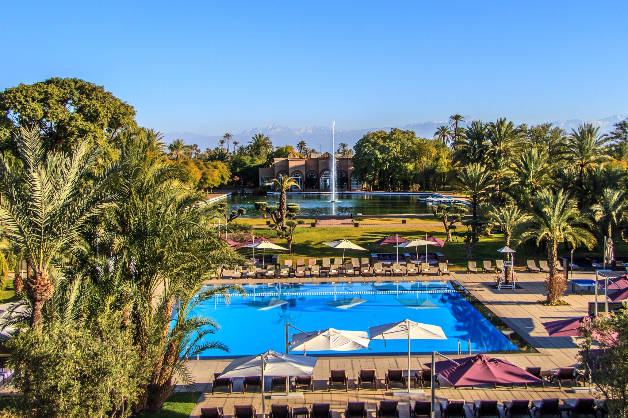barceló palmeraie 2
