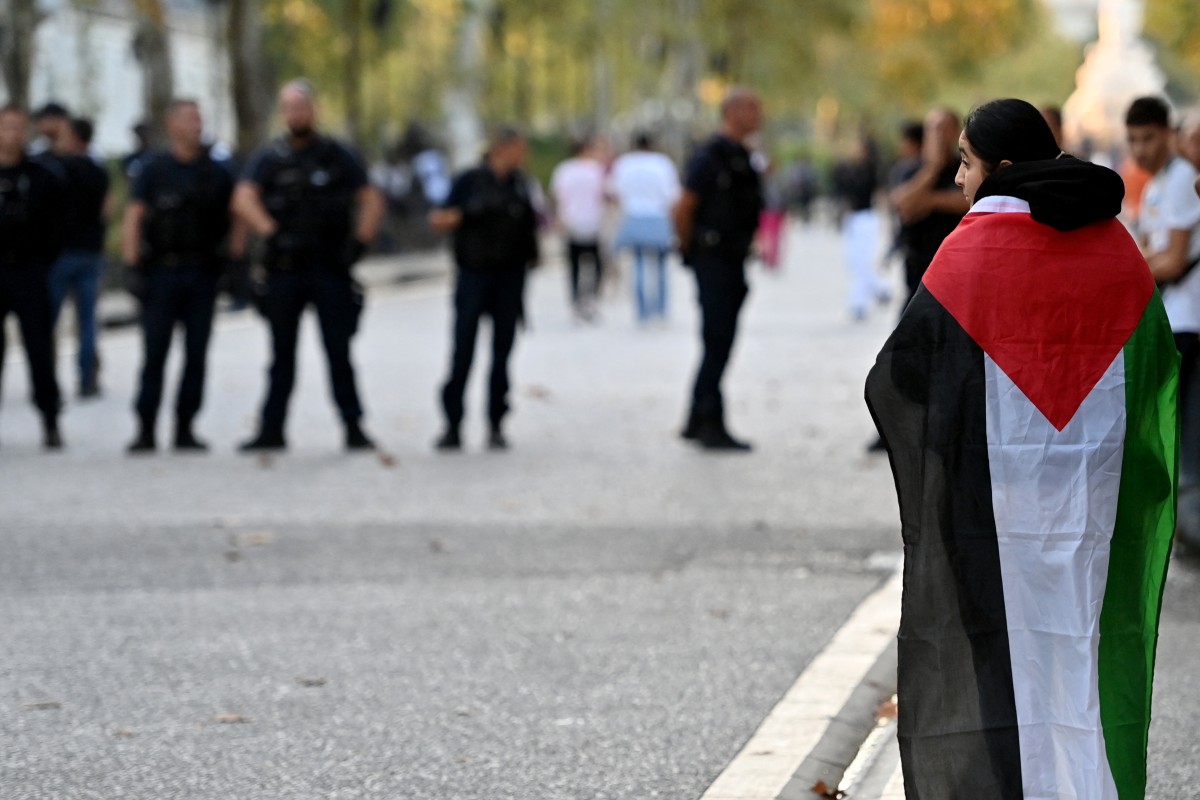 france palestinian israel conflict demo