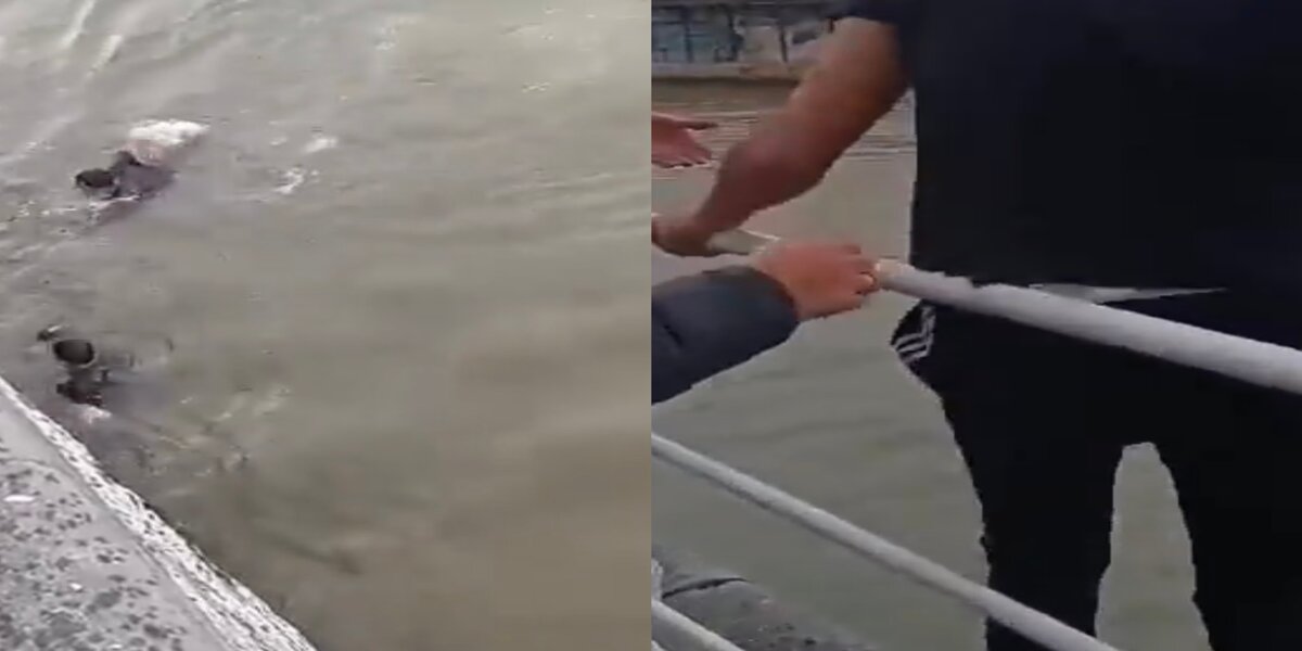 Deux jeunes Marocains sauvent un homme de la noyade à Molenbeek / Capture d'écran H24info
