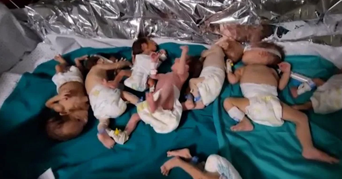 Gaza: 29 bébés prématurés évacués d'al-Chifa sont arrivés en Egypte (média égyptien)