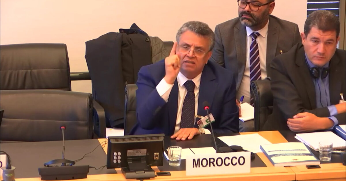 Intervention d'Abdellatif Ouahbi au Comité pour l'élimination de la discrimination raciale jeudi 23 novembre / Capture d'écran
