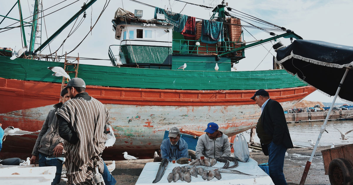 Ports situés sur la Méditerranée: Recul de 6% des débarquements de pêche à fin octobre (ONP)