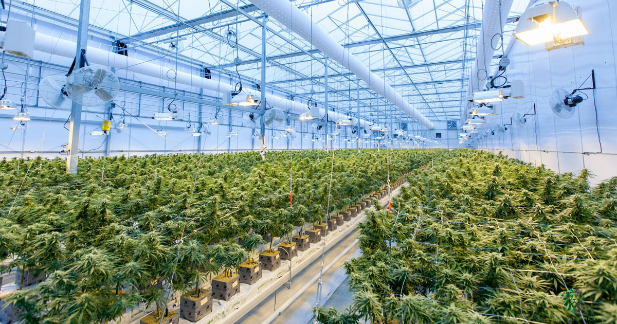 Issaguen: 45 MDH pour la création d’une zone dédiée aux activités de transformation de cannabis