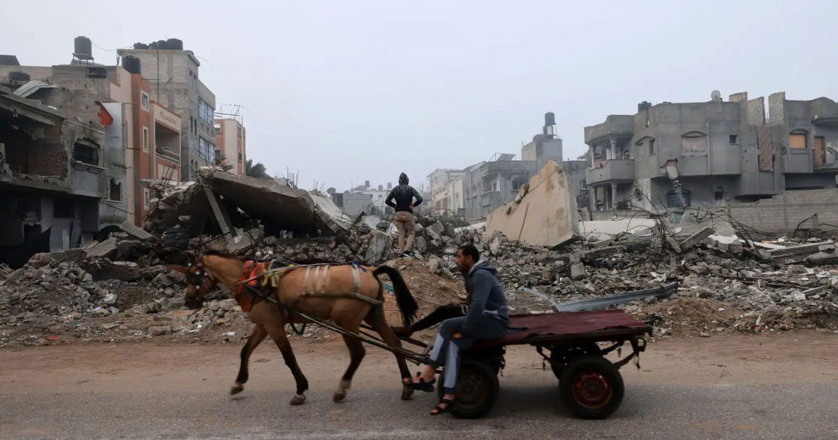 Dans le nord de Gaza, manger son cheval pour ne pas mourir de faim