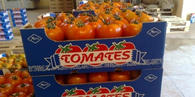 tomates marocaines