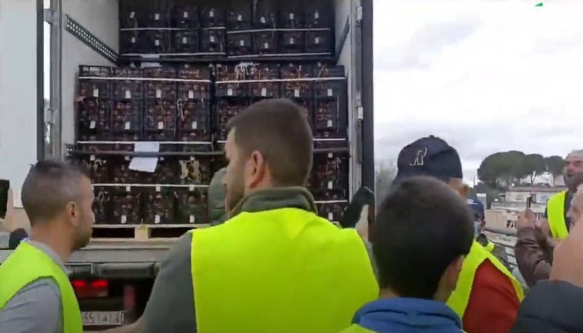 agriculteurs espagne maroc camions tomates legumes fruits