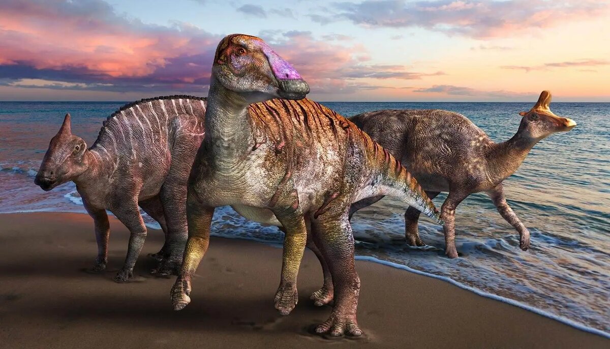 dinosaure maroc decouverte nouvelle espece