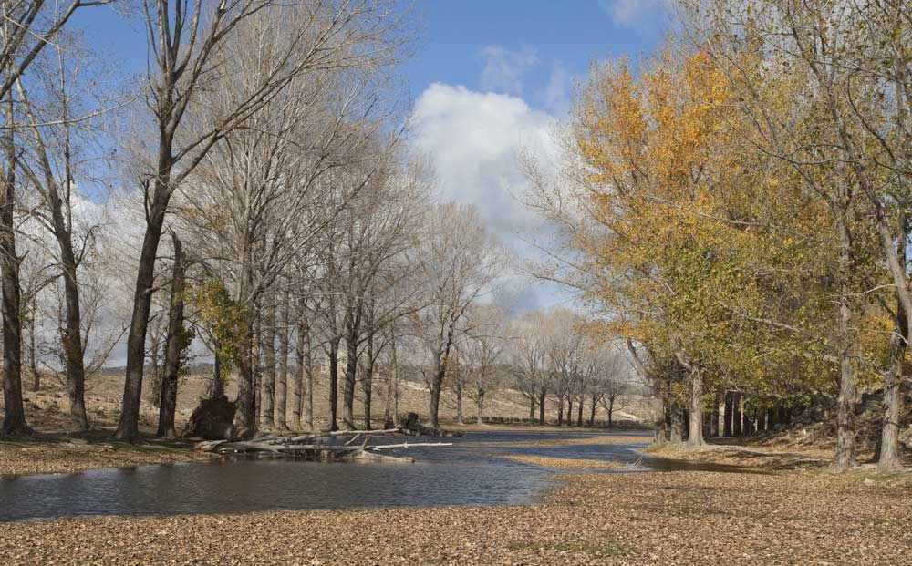 Parc national d'Ifrane