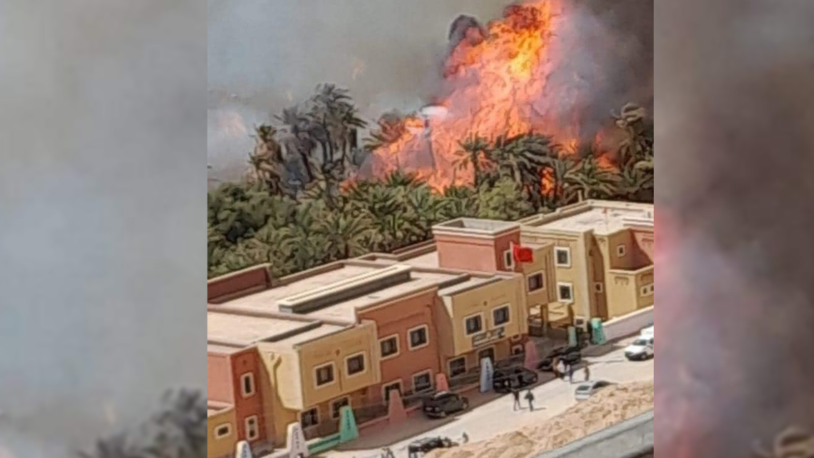 un incendie a ravagé l'oasis de ouled chaker