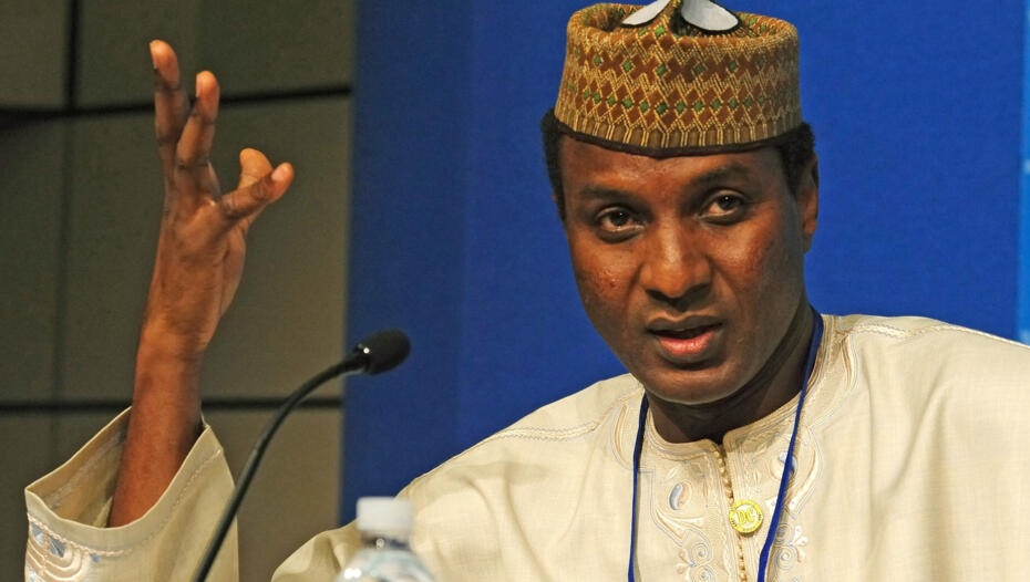 importante delegation americaine niger