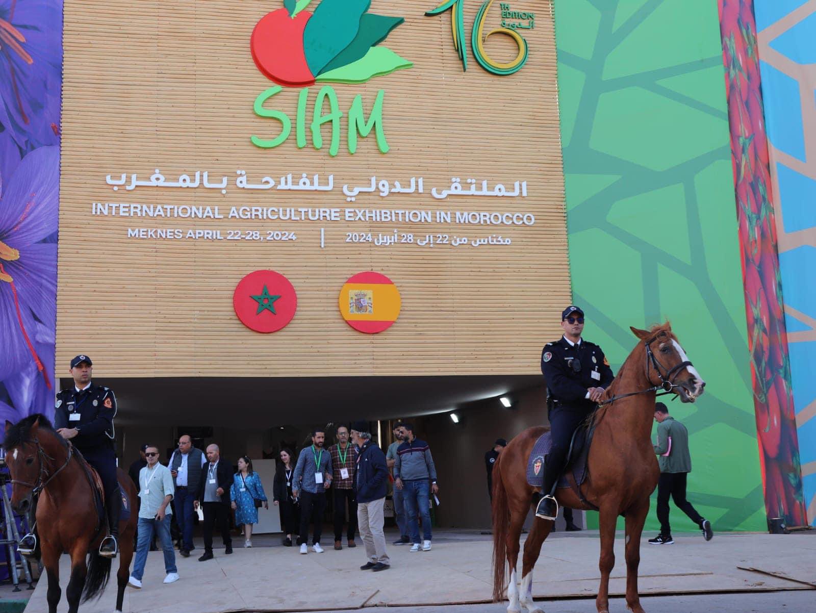 SIAM Meknès