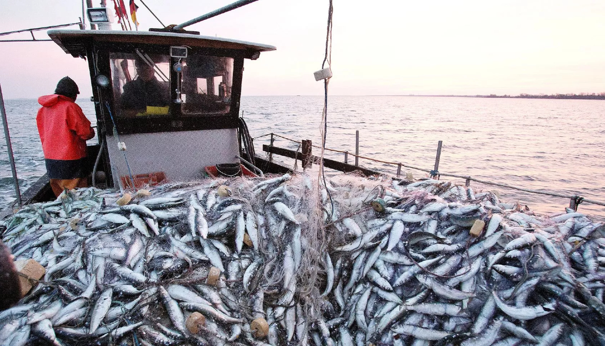 pêche maroc ue
