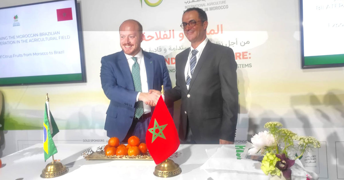 SIAM 2024 : ouverture du marché brésilien aux agrumes marocains