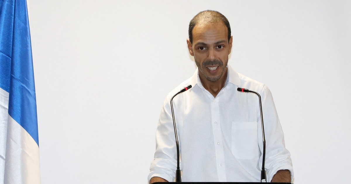 france politics parties udmf
