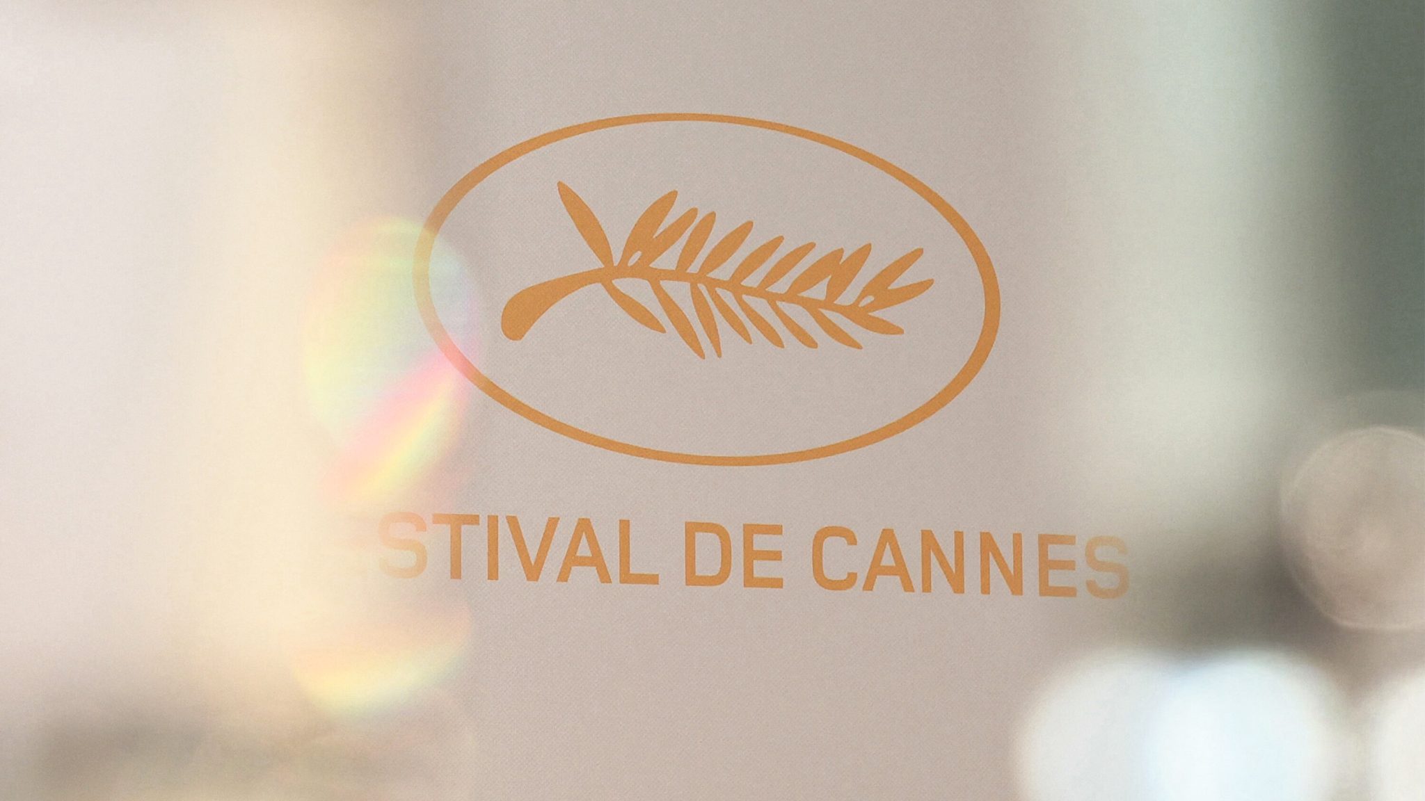 Cannes, cinéma , cinéma américain, Festival de Cannes , Pedro Almodovar, Palme d'Or
