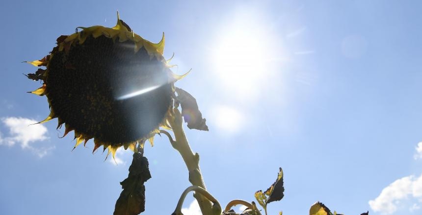 météo, prévisions météorologiques, météorologie, Direction générale de la météorologie, alerte météo, vague de chaleur, canicule,