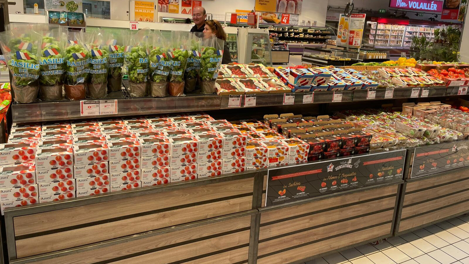 tomate marocaines france agriculteurs