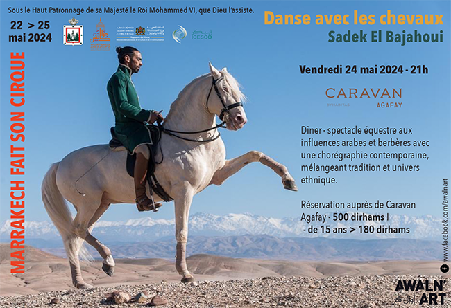 Danse avec les chevaux.
