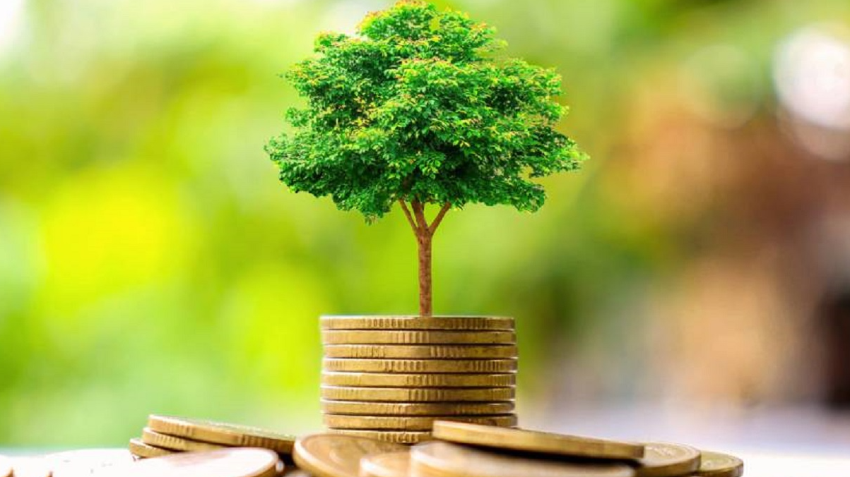 economie verte