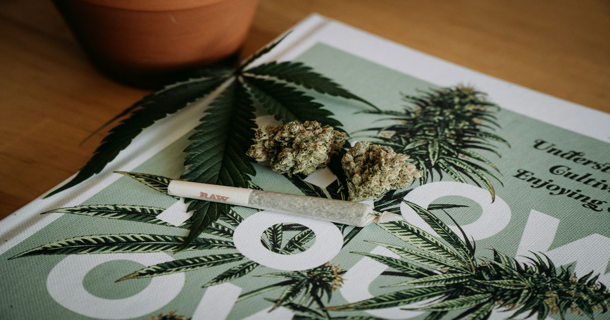 Le cannabis va être classé comme moins dangereux aux Etats-Unis, le secteur euphorique 