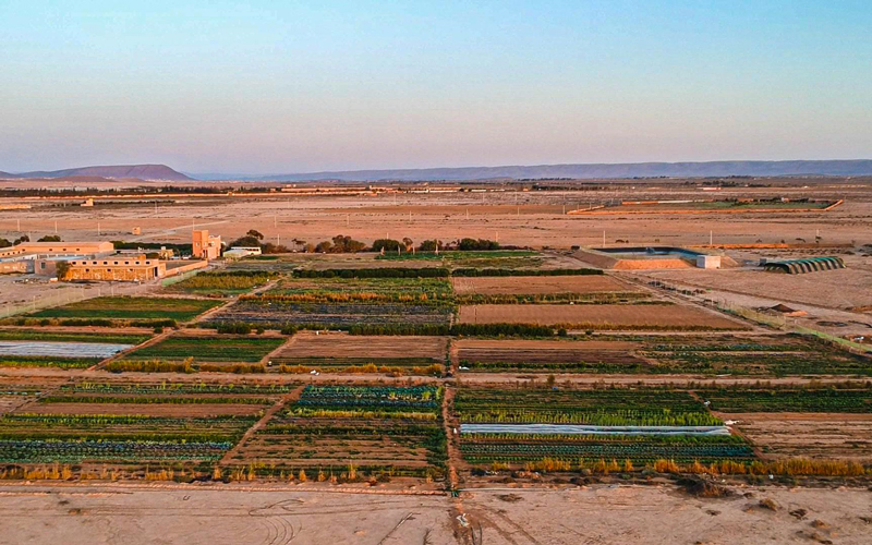 Le projet domaine Nzaha. 