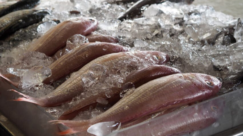poisson