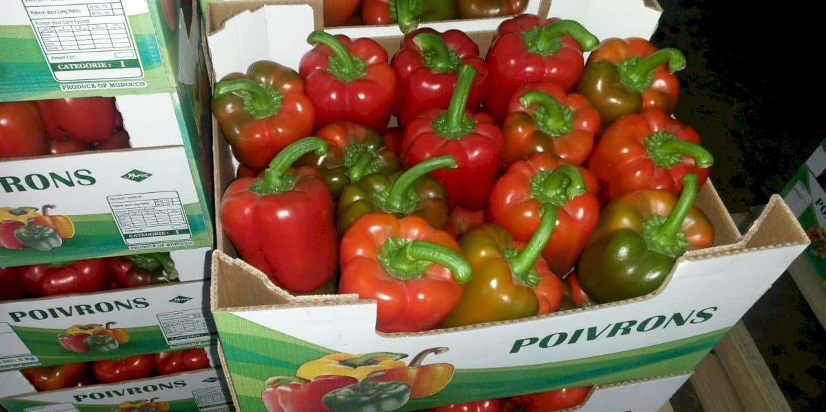 poivrons marocains
