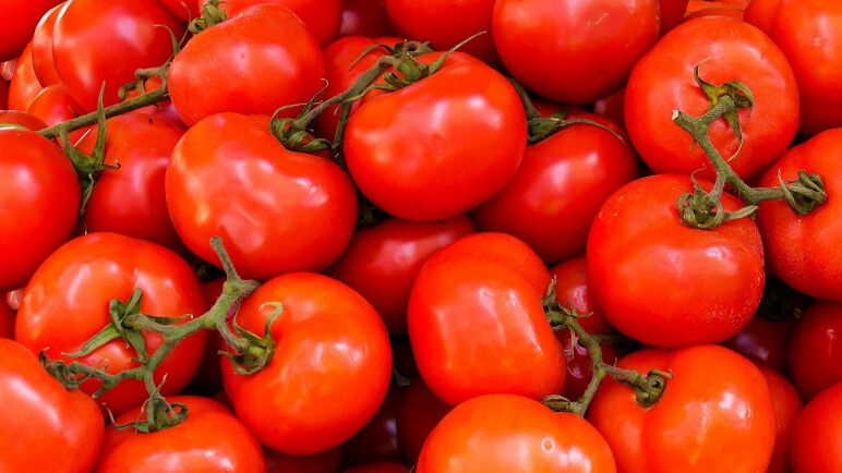 tomate