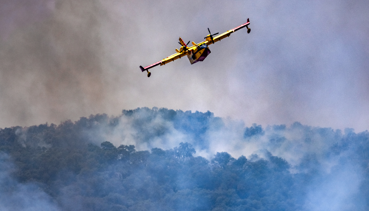 canadair maroc incendie foret